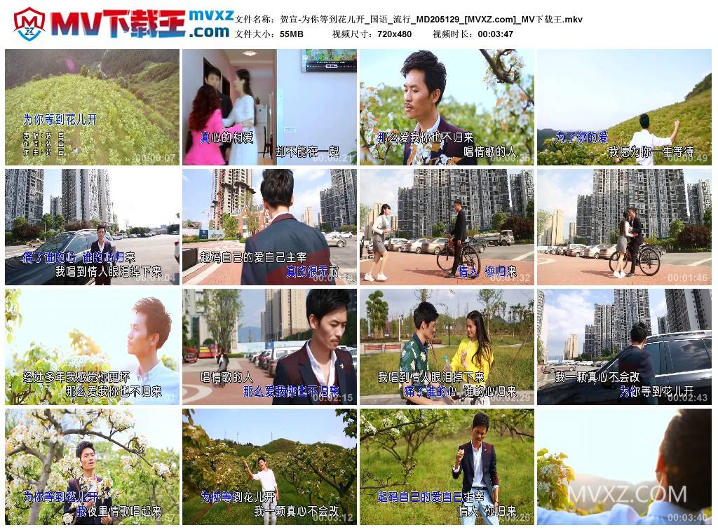 贺宣-为你等到花儿开_国语_流行_MD205129